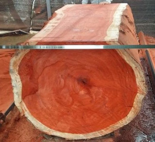 Gỗ Hương Là Gì ? Cách Nhận Biết ? Gỗ Hương Có Tốt Không ?