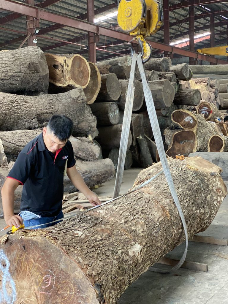 Chất lượng gỗ tự nhiên nguyên tấm phụ thuộc điều gì ?