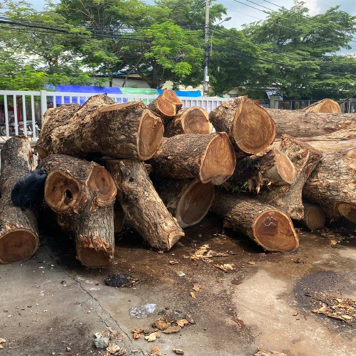 Bàn Gỗ Tự Nhiên Là Gì ? Các Mẫu Bàn Gỗ Tự Nhiên Đẹp